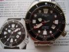 ZODIAC-SPORT DIVER CLUB AUTOMATIC- NOVI!