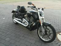 Harley Davidson V - Rod  Muscle 1247 cm3