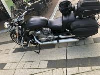 Harley Davidson V-rod Muscle 1247 cm3