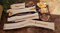 Drvo masline cca 3 cm za epoxy + Besplatna dostava!