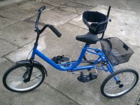 Poni tricikl za decu sa posebnim potrebama