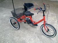 tricikl za decu sa posebnim potrebama