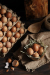 Domaća kokošja jaja iz bio uzgoja