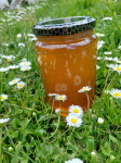 Cvijetni med