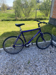 Bicikl Genesis 26“