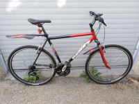 Gradski bicikl DEMA Luca, XL, kotači 28 "