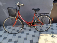ženski gradski bicikl 28" (spring)
