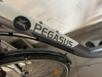 Ženski gradski bicikl Pegasus
