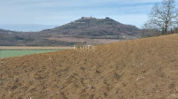 Istra, Motovun - građevinsko zemljište T2, pogled Motovun