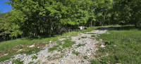 ISTRA, PIĆAN - Kompleks zemljišta s dozvolom na rubu naselja