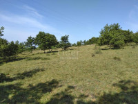 ISTRA poljoprivredno zemljište u okolici Višnjana