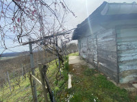 Klijet sa vinogradom Svetojurski Vrh -Pregrada