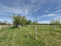 Kuća s voćnjakom, pogodna za seosko poljoprivredno imanje, 3750 m2