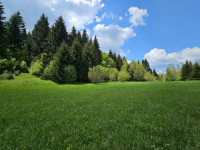 Poljoprivredni teren - Hlevci - 3890m2