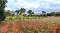 Poljoprivredno zemljište, Bale, 9865 m2, 2 km od kampa Mon Perin