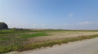 Poljoprivredno zemljište, Baranjsko Petrovo Selo, 17.213 m2