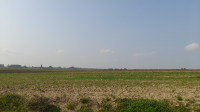 Poljoprivredno zemljište, Baranjsko Petrovo Selo, 59865 m2