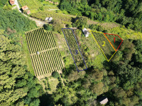 Poljoprivredno zemljište, Cestica, 1550 m2