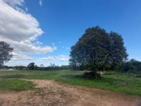 Poljoprivredno zemljište, Glavani, 3718 m2