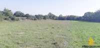Poljoprivredno zemljište: Privlaka, 1225 m2