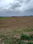 Poljoprivredno zemljište, Slavonski Brod, 4816 m2