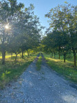 Poljoprivredno zemljište, Zmajevac, 12400 m2