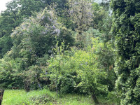 Prodaje se zemljište u Oporovcu - Oaza mira pored šume