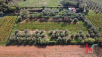 Rovinj, poljoprivredno zemljište sa maslinikom, vinogradom i legalizir