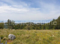 Ružić Selo - prodaja poljoprivrednog zemljišta, 5.518m2