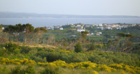 Solin, Kučine - atraktivno građevinsko zemljište 1.697 m2 s pogledom