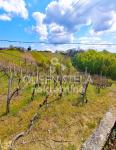 Vikend kuća Vinica Breg, 220 m2, vinarija, vinogradi, zemljište 5848 m