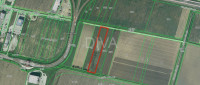 zemljište prodaja Gornja Vrba 8066m2