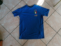 Majica Talijanske nogometne reprezentacije