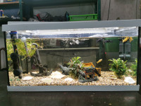 Akvarij sa kompletnom  opremom i ribicamabicama