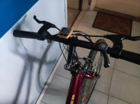 Limex ženski bicikl
