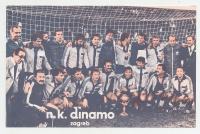 Razglednica Dinamo pobjednik Kupa 1980