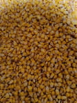 BC kukuruz u zrnu, prirodno sušen 0,27 €/kg