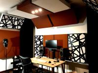 Anthill - akustičko tretiranje glazbenih studija i soba za snimanje