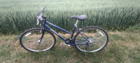 Scott Zenski bicikl
