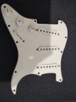 Fender Player loaded pickguard