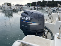 Yamaha F 100 DETL