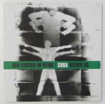 In Vitro