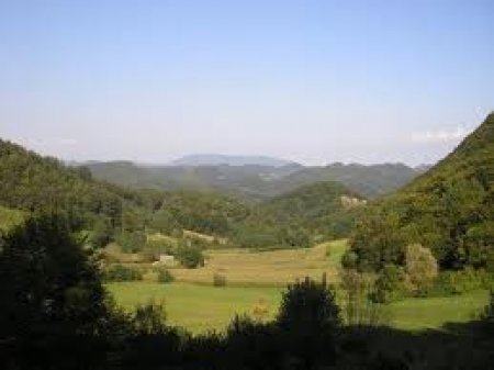 Poljoprivredno zemljište: Vrbovec, 4500.00 m2