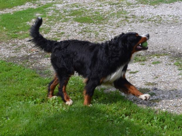 Intimna druženja intimna druženja