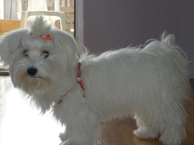 On trazi nju,ona trazi njega On trazi nju,ona trazi njega