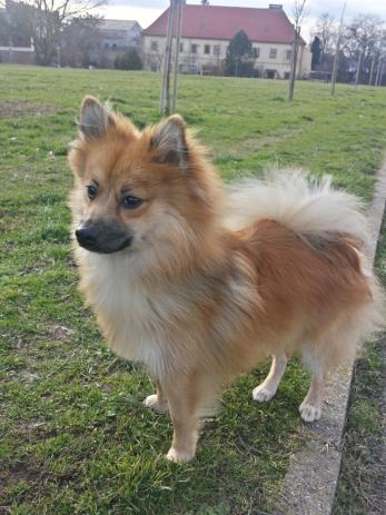 Decko trazi decka za vezu decko trazi decka za vezu