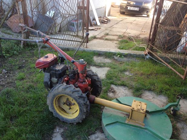 Oglas za samce oglas za samce