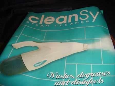 Cleansy Steam Cleaner