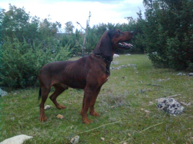 Njuskalo hr poznanstva veza brak njuskalo hr poznanstva veza brak