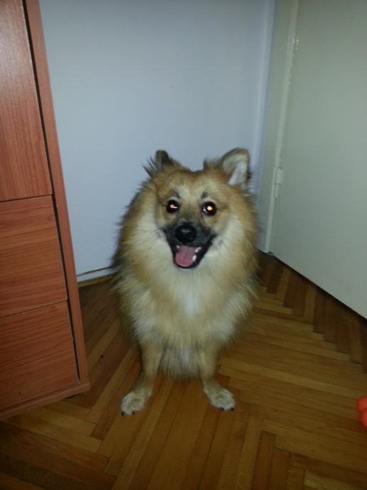 Decko trazi decka varazdin decko trazi decka varazdin